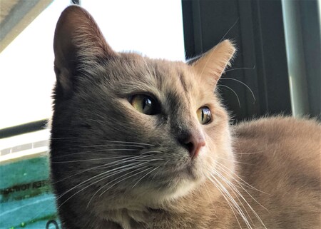 Rusty
