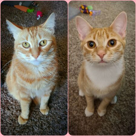 Autumn and Sydney