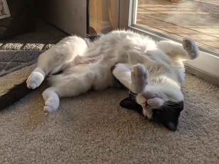 Kit