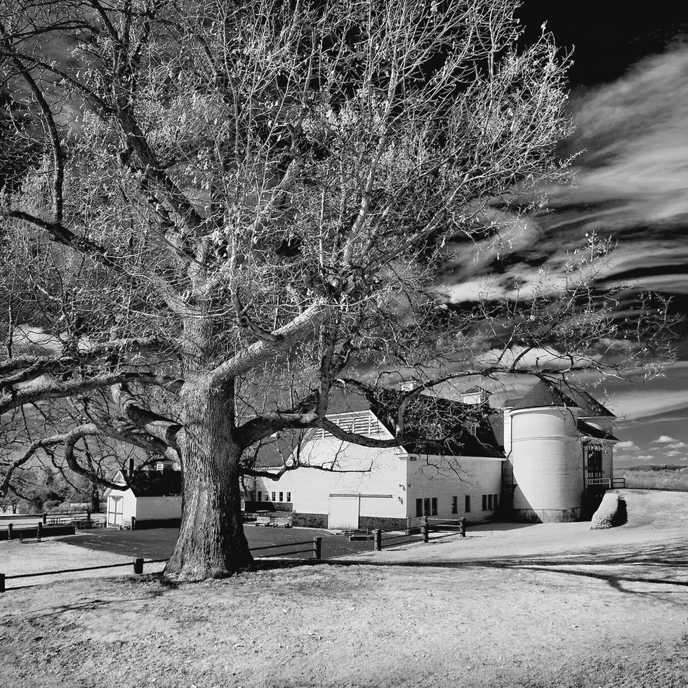 Vote for On The Great Hill, Hilltop Farm, Suffield Connecticut