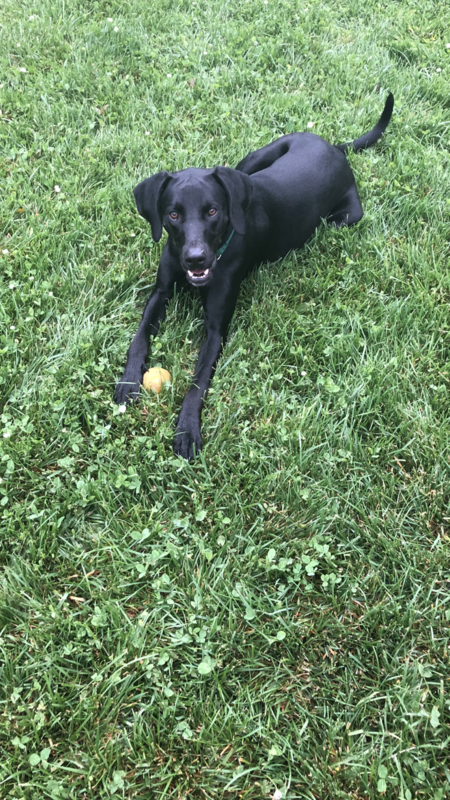Jake
