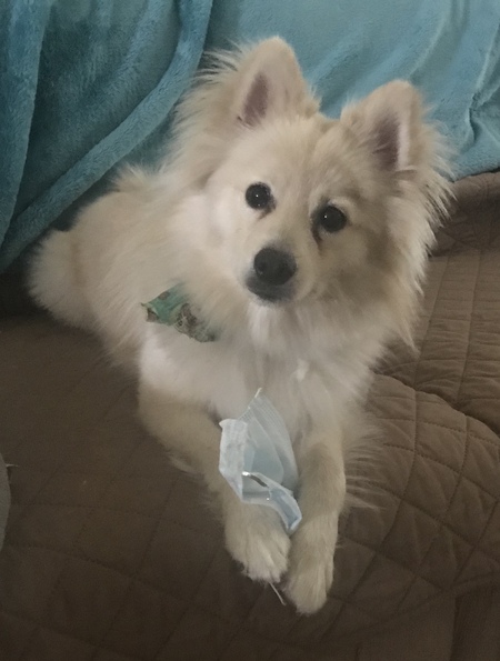 Winston
