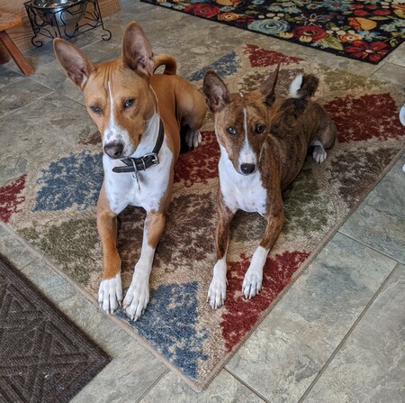Tiegan and Miles