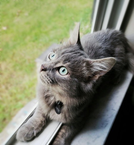 Jasper