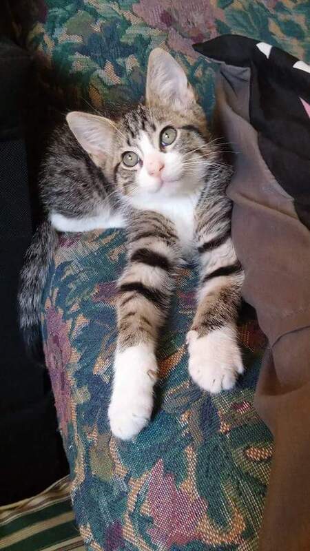 Quincy