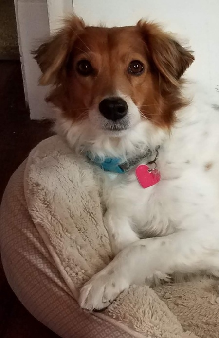 Lucy