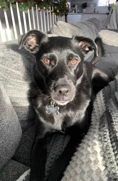 Penelope