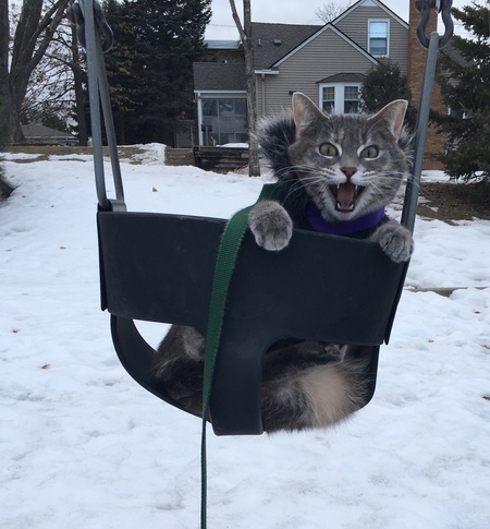 Look at me!  I'm swinging!