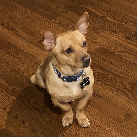 Darwin