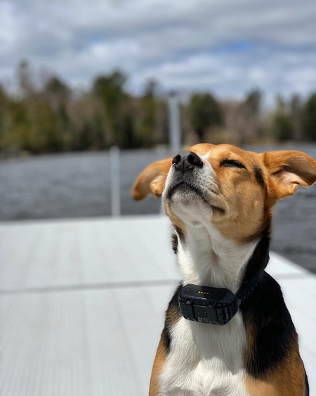 Cooper