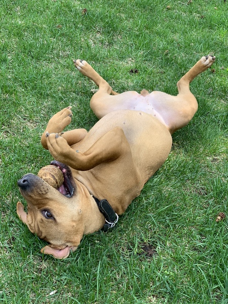 Delilah