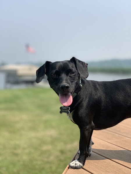 Oliver