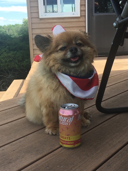 Baxter