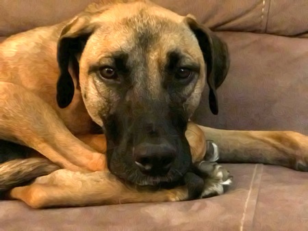 Rossi