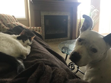 Oscar and Klaus