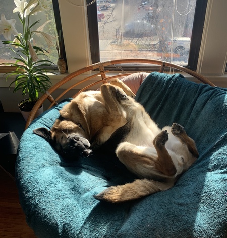 Gemma
