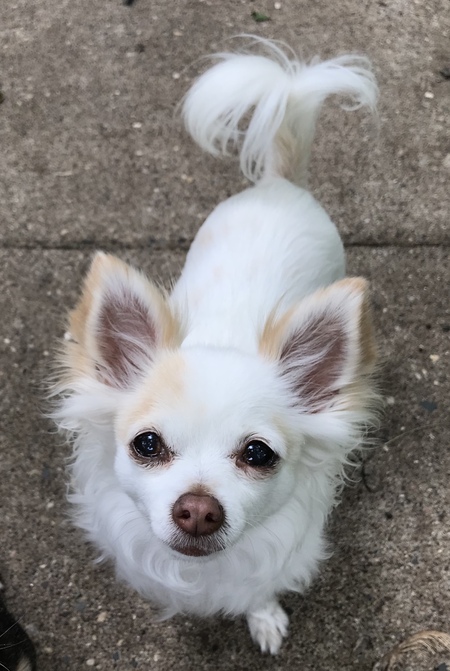 Penny
