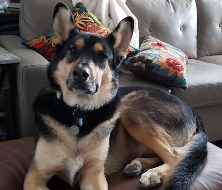 Otis