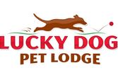 Lucky Dog Lodge