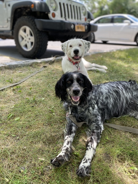 Frida and Fiona