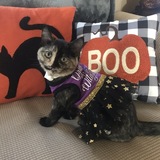 Entry image for Winnie