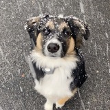 Entry image for Tucker