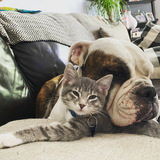 Entry image for Max and Nelly