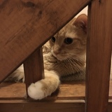 Entry image for Mr. Weasley 