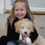 Entry image for Sophie 