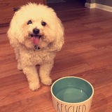 Entry image for Charlie