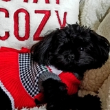 Entry image for Macy Mae