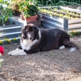 Entry image for Libby