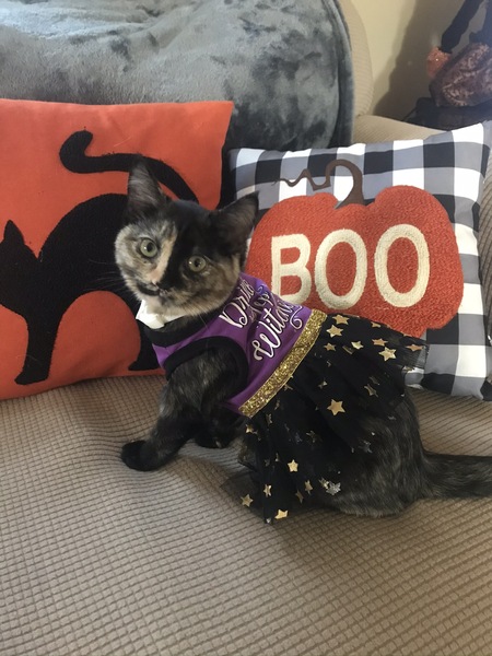 Entry image for Winnie. Clicking this image will show a larger photo