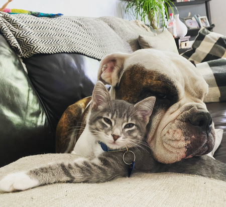 Entry image for Max and Nelly. Clicking this image will show a larger photo