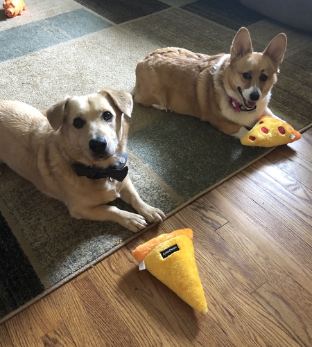 Entry image for Shorty & Callie. Clicking this image will show a larger photo