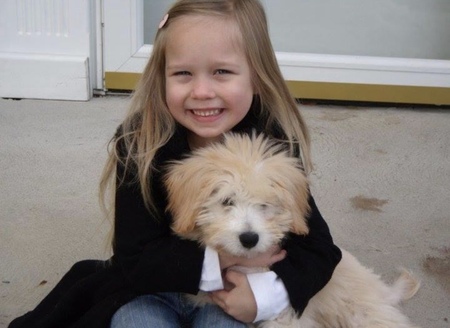 Entry image for Sophie . Clicking this image will show a larger photo
