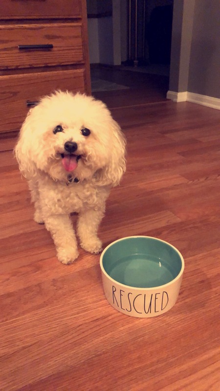 Entry image for Charlie. Clicking this image will show a larger photo