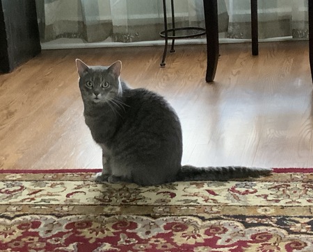 Entry image for Miss Peggy. Clicking this image will show a larger photo