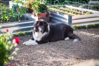 Entry image for Libby. Clicking this image will show a larger photo