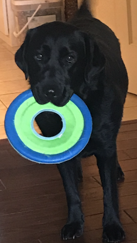 Luna