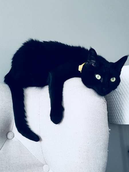 Marley