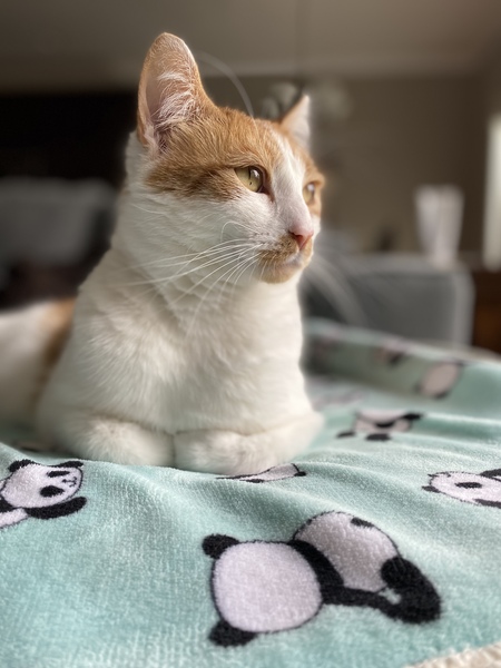 Max