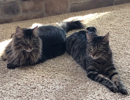 Puffy and Teenie 
