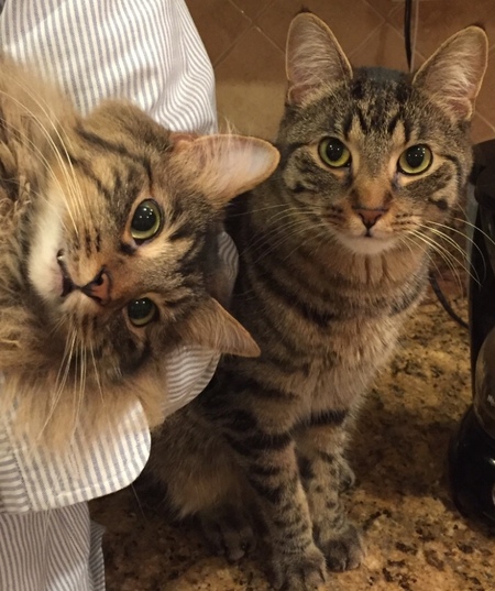 Puffy and Teenie 