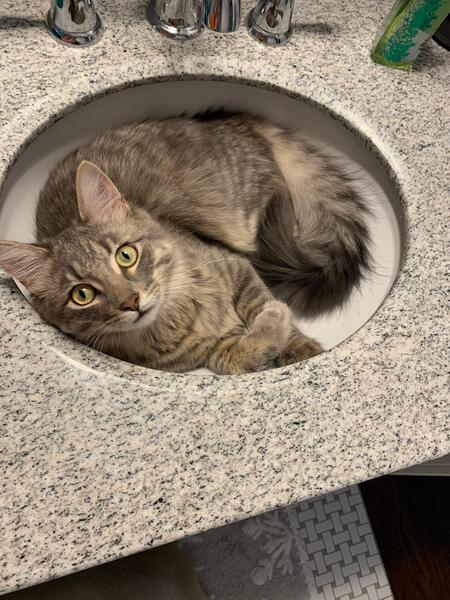 Georgie 