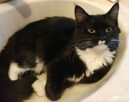 Malcolm