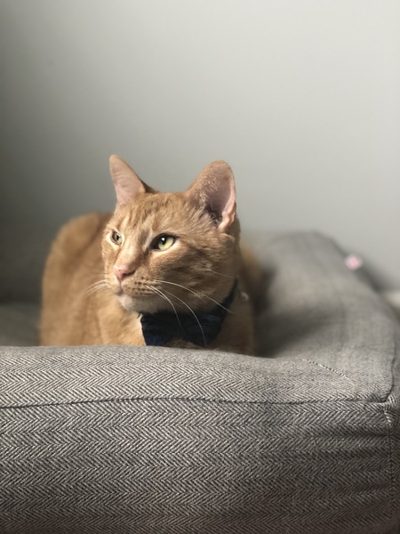 Charlie