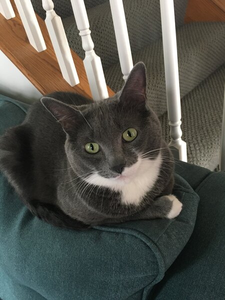 Gideon