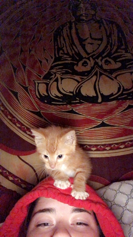 Zeus