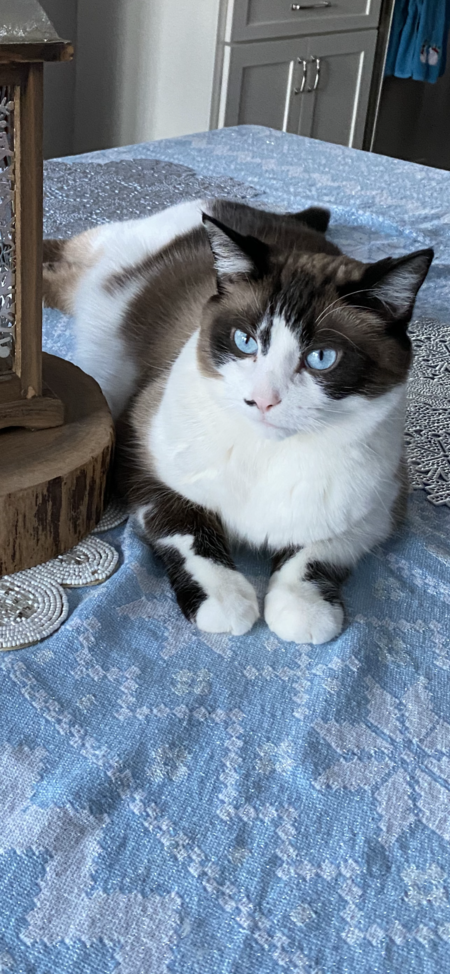 Clarence 